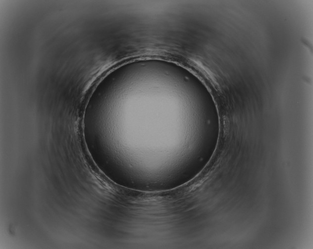 X0000091531260200709071032