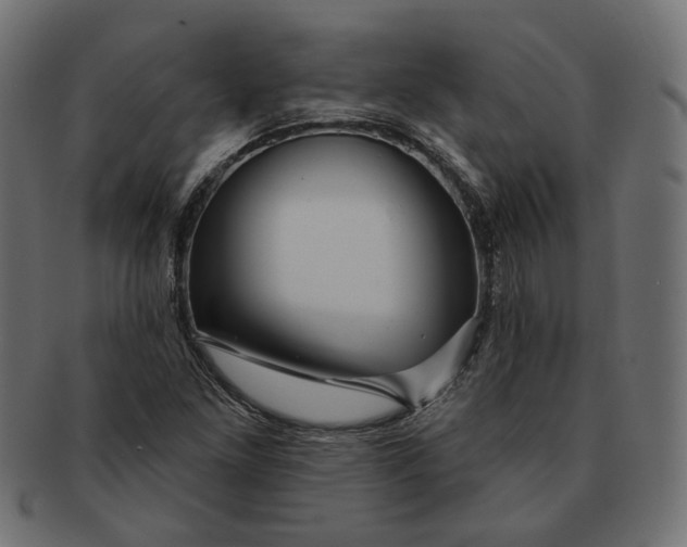 X0000091531261200709071032