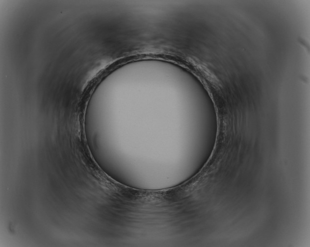 X0000091531262200709071032