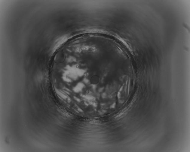 X0000091531263200709071032