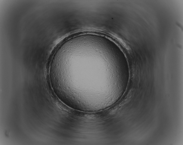 X0000091531264200709071032