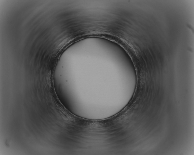X0000091531265200709071032