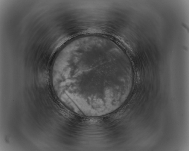 X0000091531266200709071032