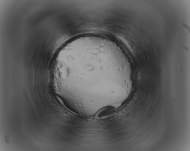 X0000091531267200709071032