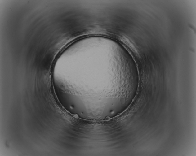 X0000091531268200709071032