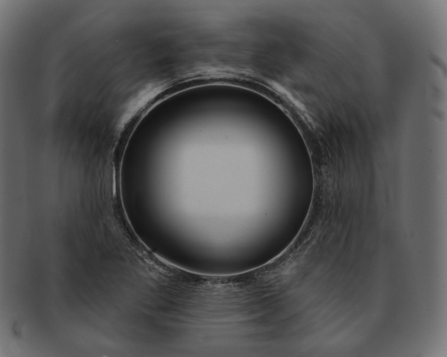 X0000091531269200709071032