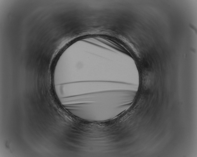 X0000091531270200709071032