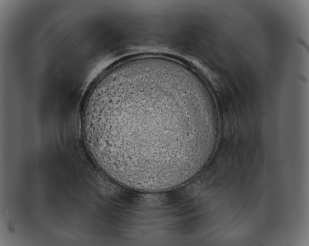 X0000091531271200709071032