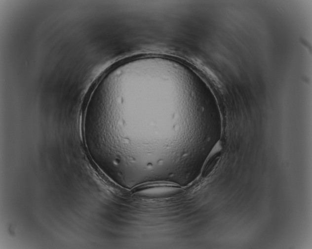 X0000091531272200709071032