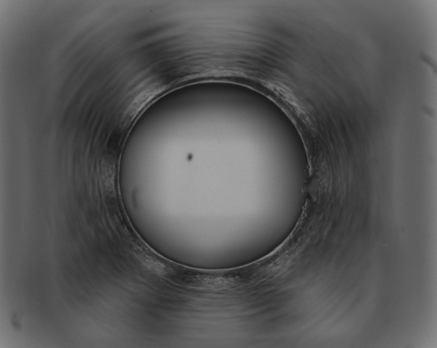X0000091531273200709071032