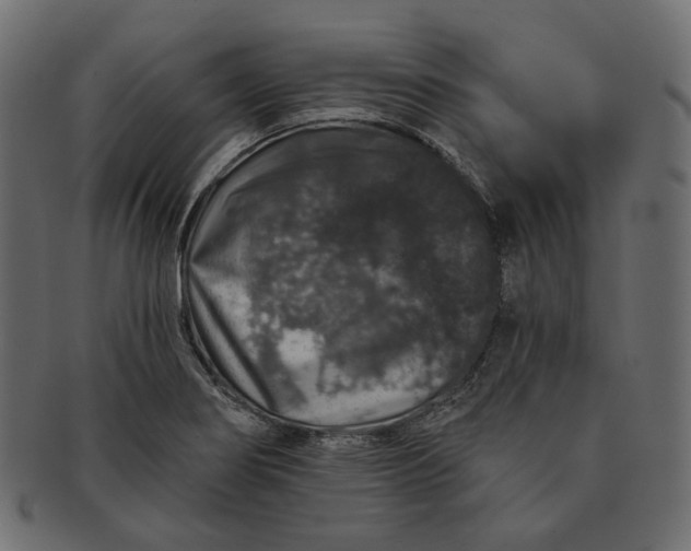 X0000091531274200709071032