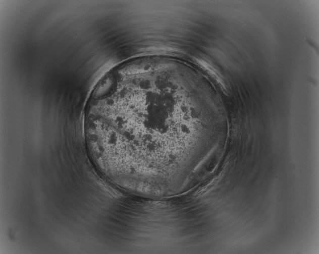 X0000091531275200709071032
