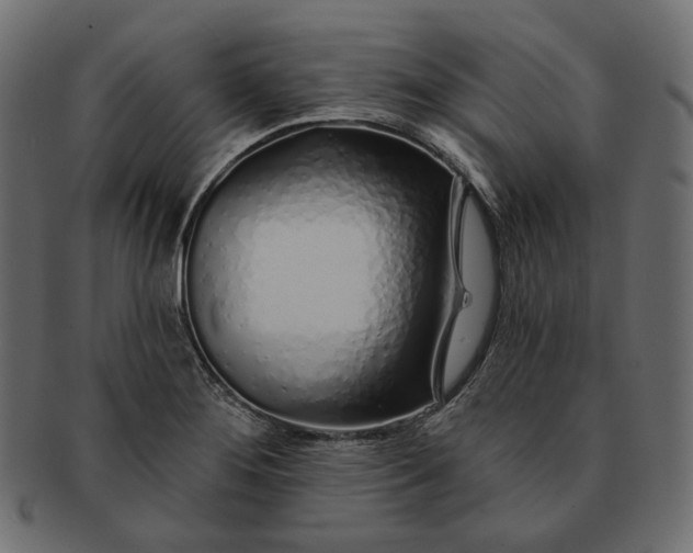 X0000091531276200709071032