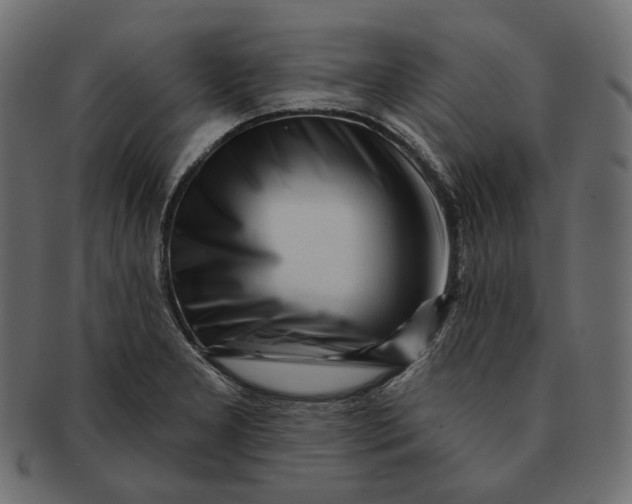 X0000091531277200709071032