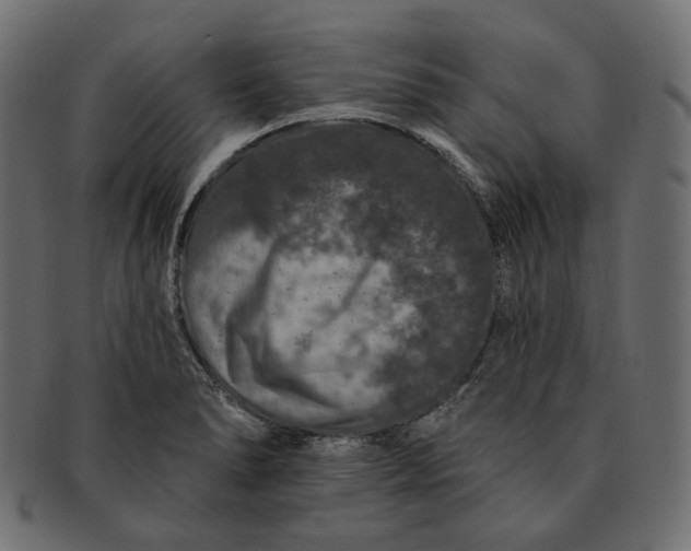 X0000091531278200709071032