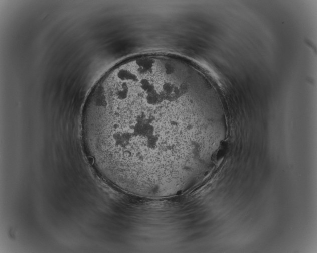 X0000091531279200709071032
