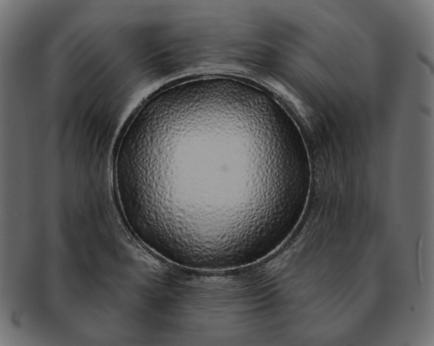 X0000091531280200709071032
