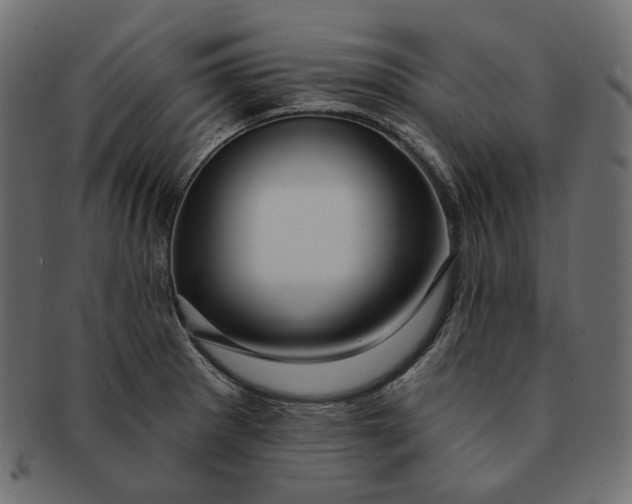 X0000091531281200709071032
