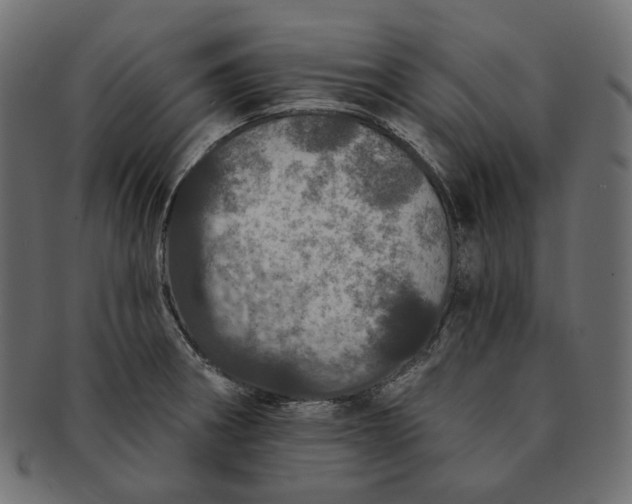 X0000091531282200709071032