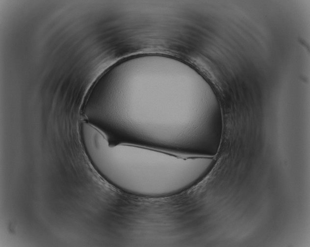 X0000091531284200709071032