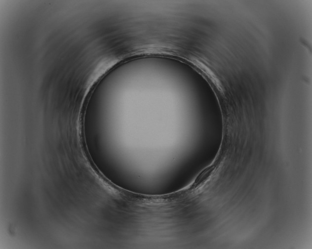X0000091531285200709071032