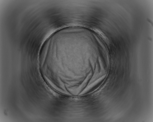 X0000091531286200709071032