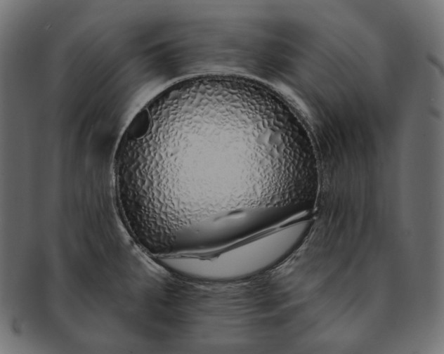 X0000091531287200709071032