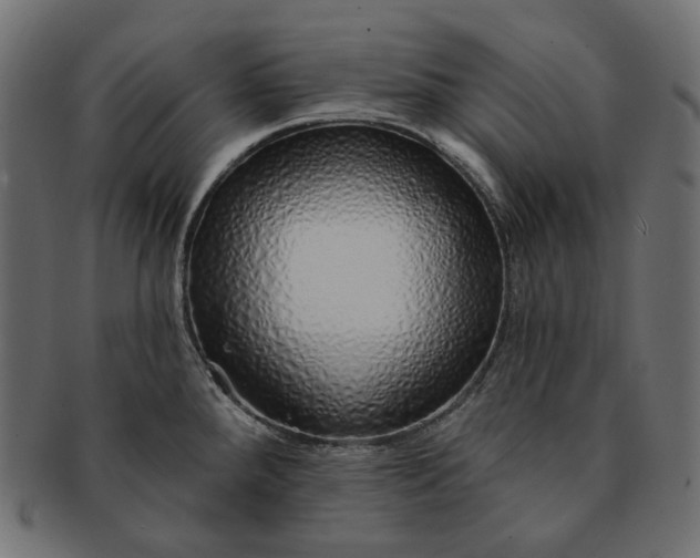 X0000091531288200709071032