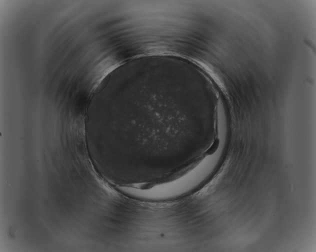 X0000091531289200709071032
