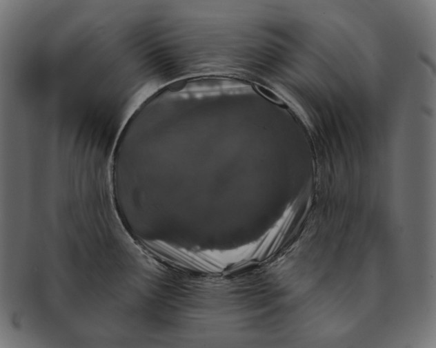 X0000091531291200709071032