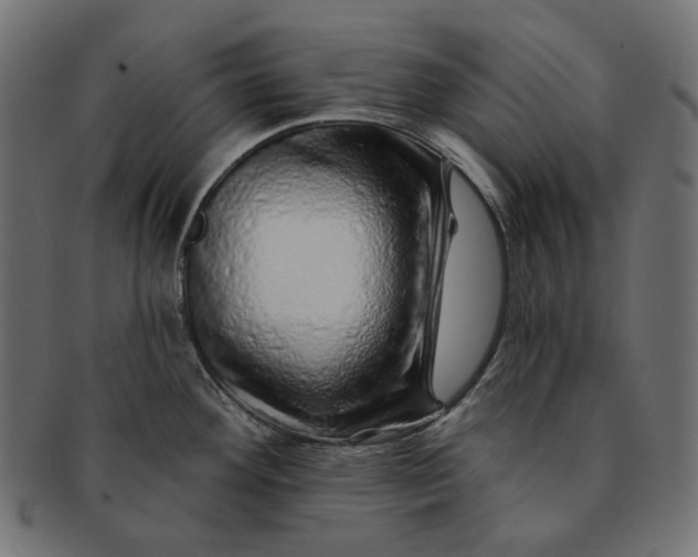X0000091531292200709071032