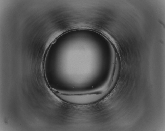 X0000091531293200709071032