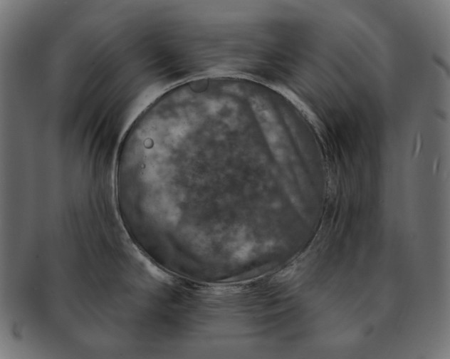 X0000091531294200709071032