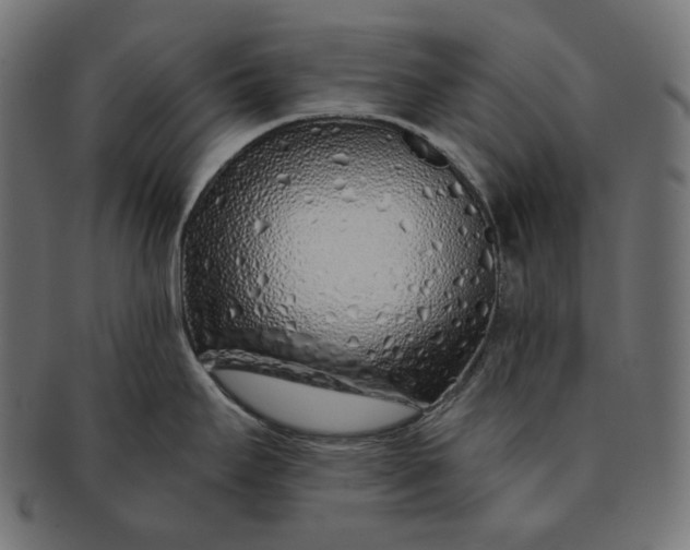 X0000091531295200709071032