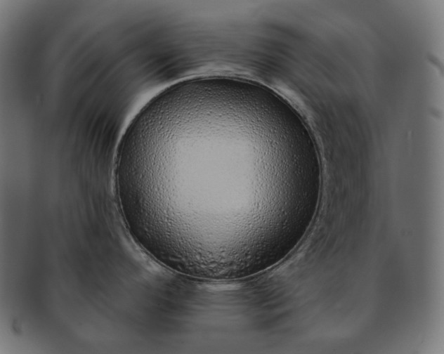 X0000091531296200709071032