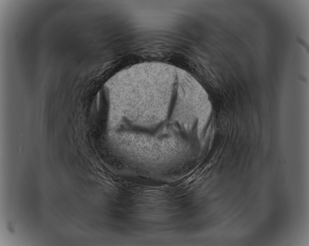 X0000091531297200709071031