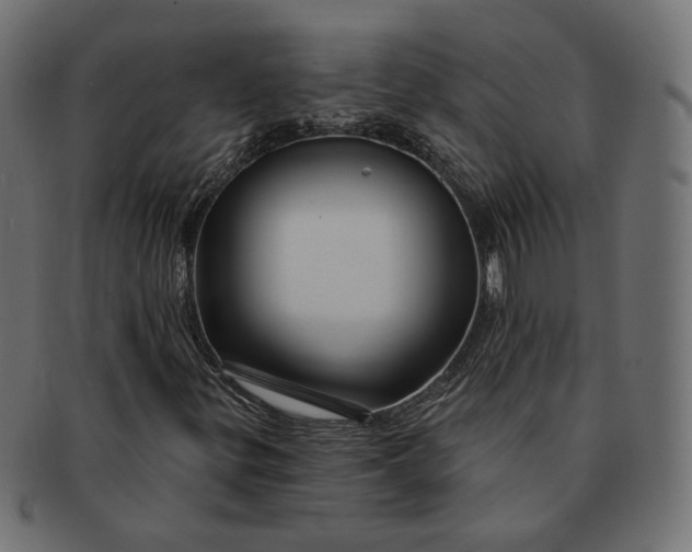 X0000091531299200709071031