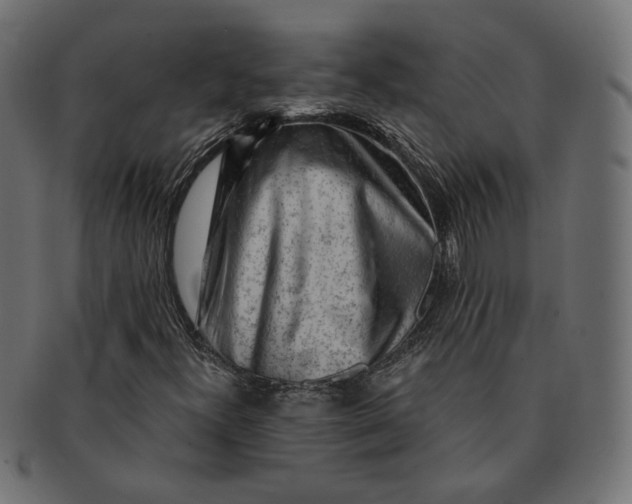 X0000091531300200709071031