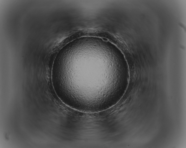 X0000091531301200709071031