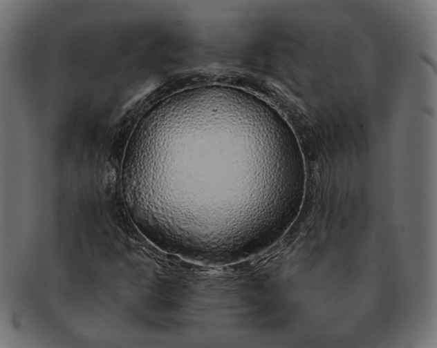 X0000091531302200709071031