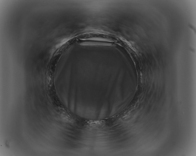 X0000091531303200709071031