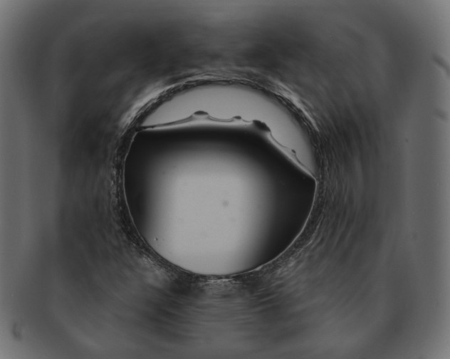 X0000091531304200709071031
