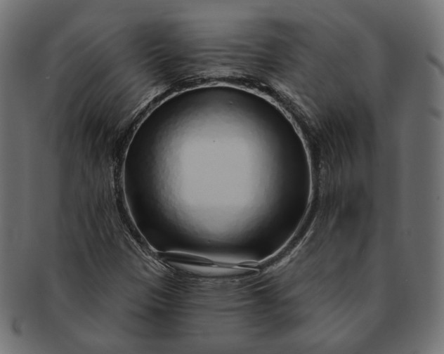X0000091531305200709071031