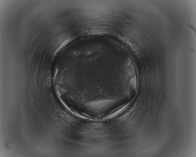 X0000091531306200709071031