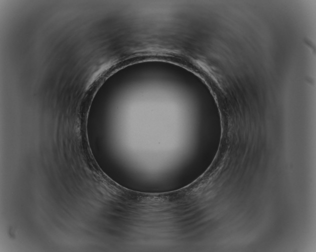 X0000091531307200709071031