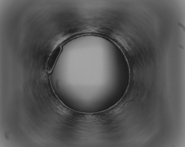 X0000091531308200709071031