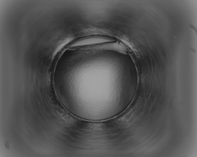X0000091531309200709071031
