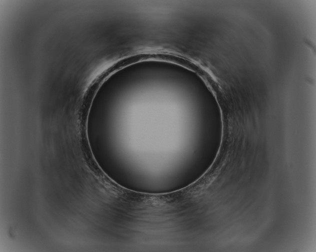 X0000091531311200709071031