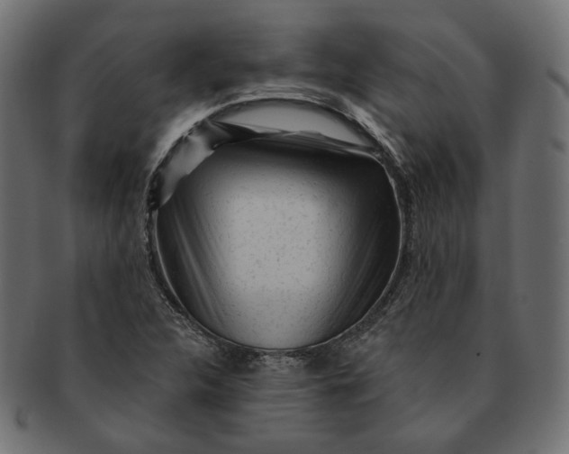 X0000091531312200709071031