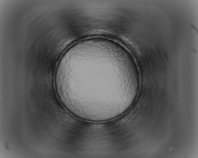 X0000091531313200709071031